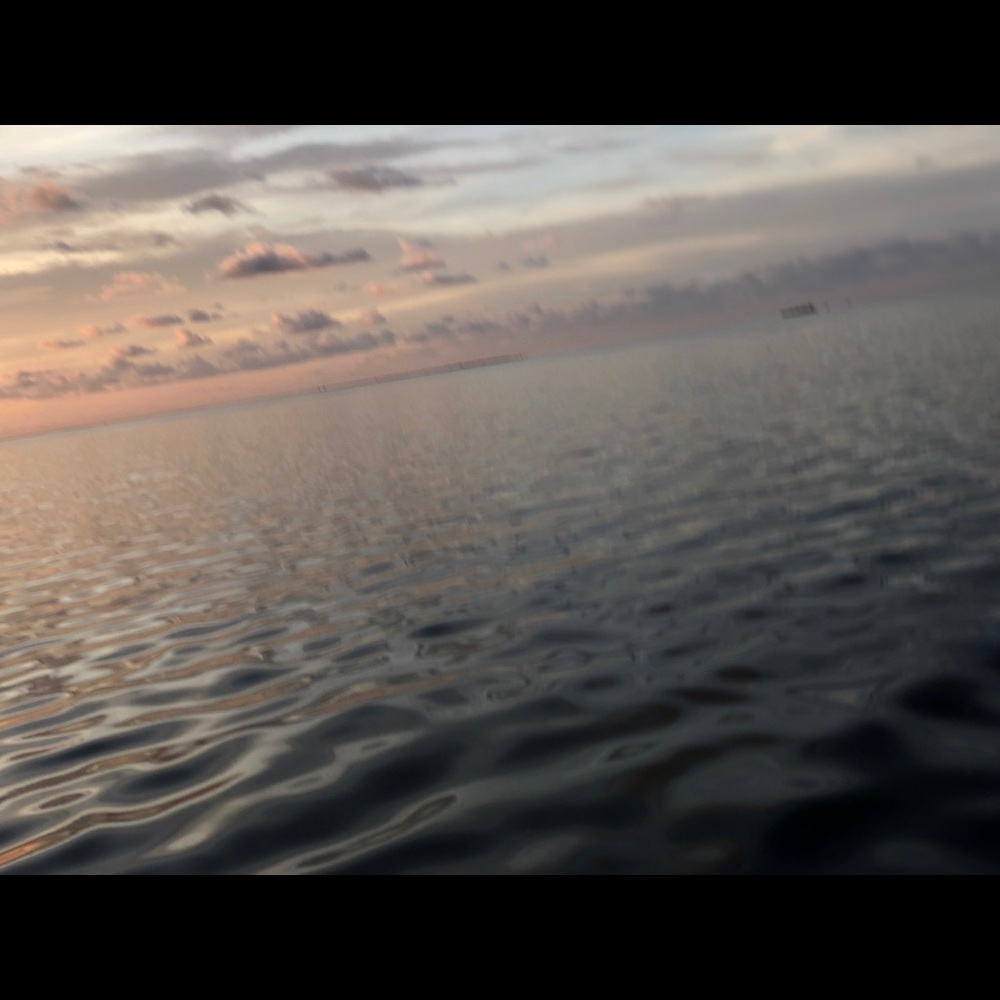 Meet your Posher, Jules